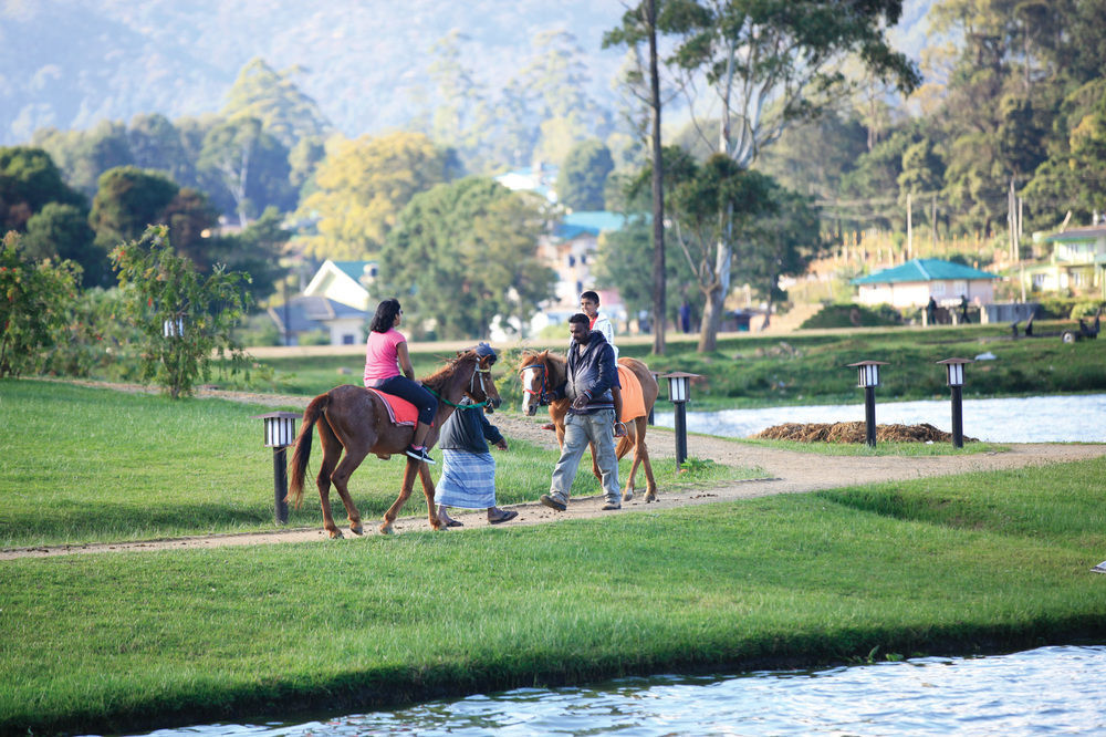 Queenswood Cottage Nuwara Eliya Zewnętrze zdjęcie